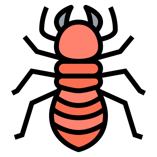 Termite