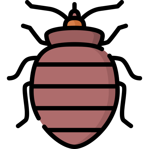 🛏️ Bed Bug Treatment